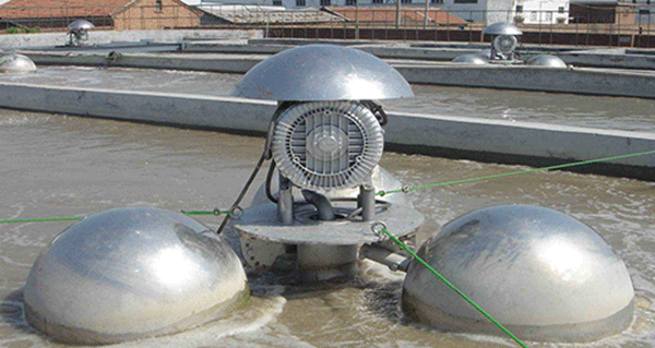 如何根据西玛电机的外表来检查防护等级的一致性？